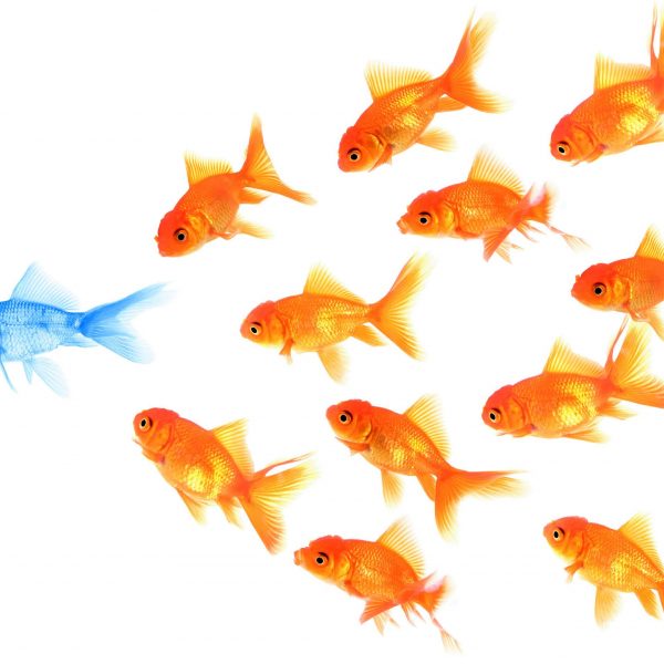Developing Leadership